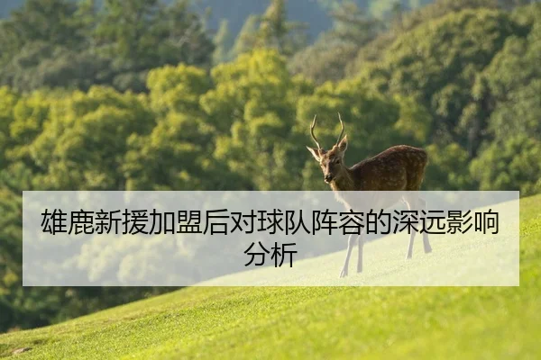雄鹿新援加盟后对球队阵容的深远影响分析