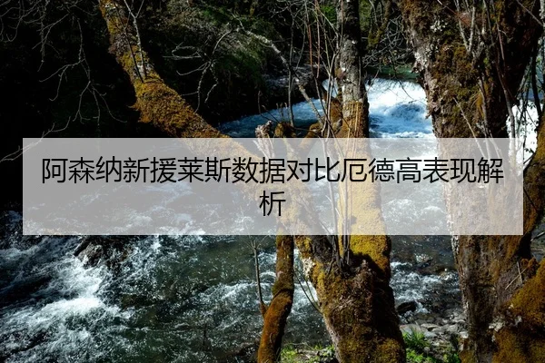 阿森纳新援莱斯数据对比厄德高表现解析